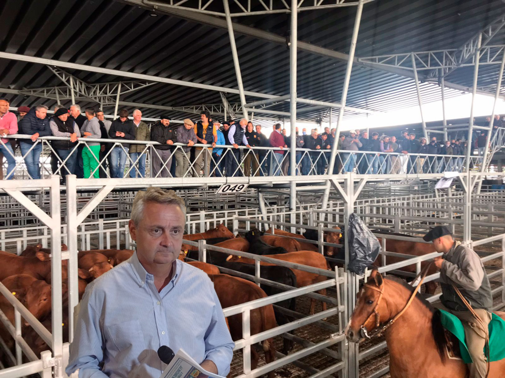 Radio “On Line” Informe Agropecuario – Noticia 4